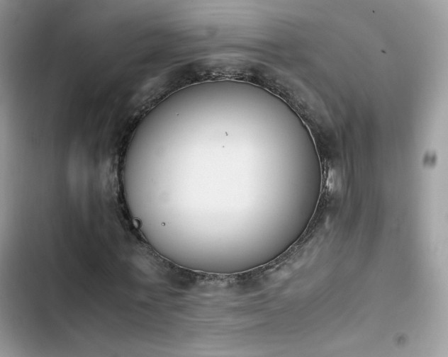 X0000103940771200809191416