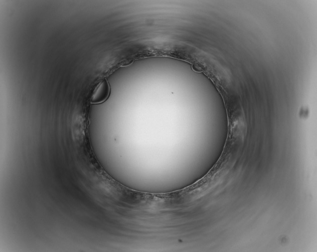 X0000103940772200809191416