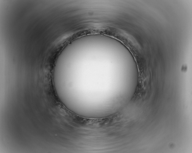 X0000103940773200809191416