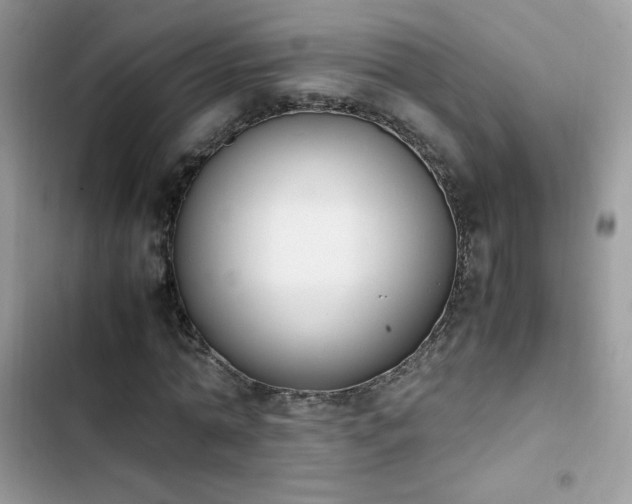 X0000103940774200809191416