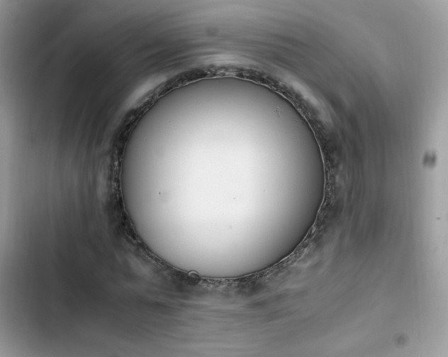 X0000103940775200809191416