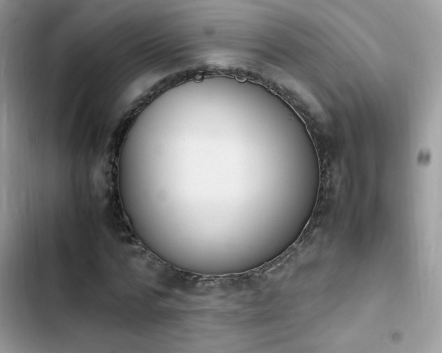 X0000103940776200809191416