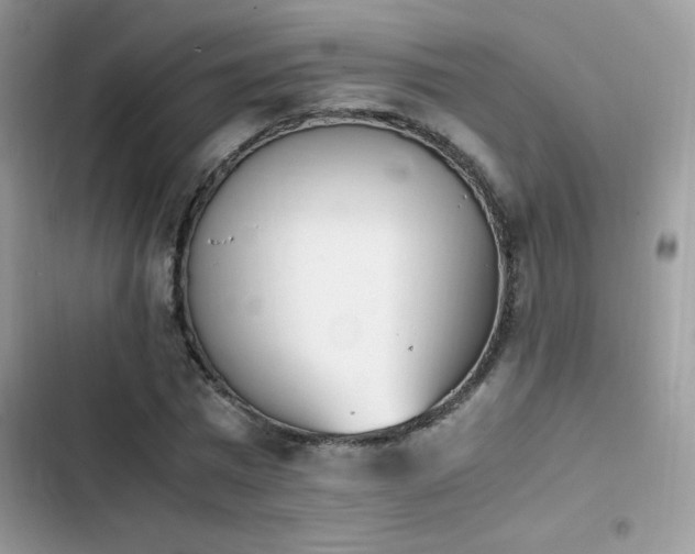 X0000103940777200809191416