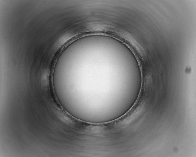 X0000103940778200809191416