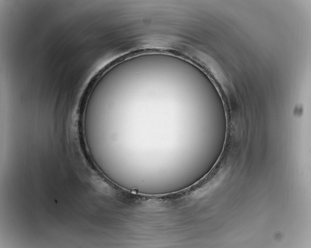 X0000103940779200809191416