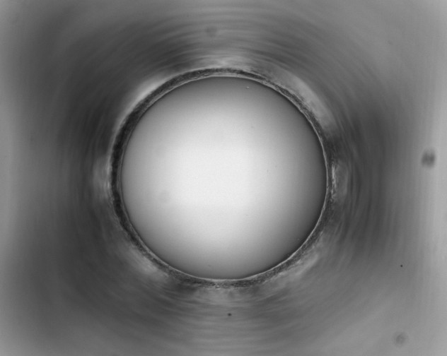 X0000103940780200809191416