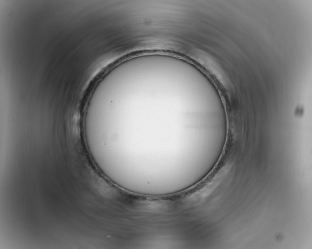 X0000103940781200809191416