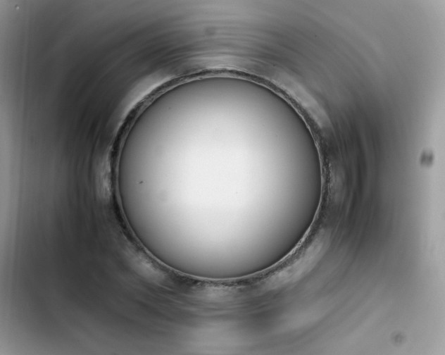 X0000103940782200809191416