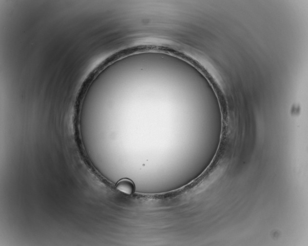 X0000103940783200809191416