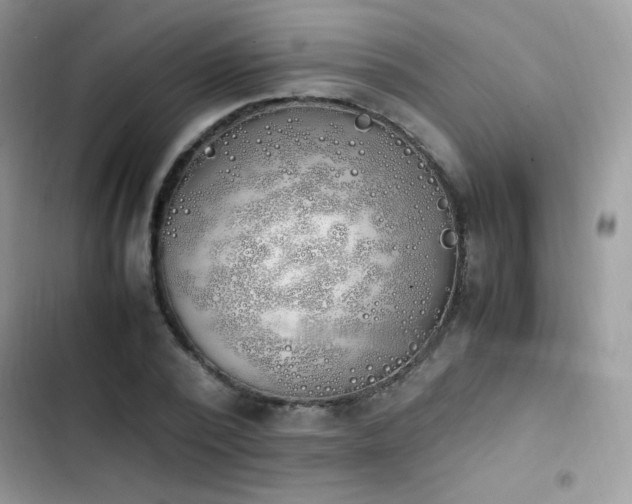 X0000103940784200809191416
