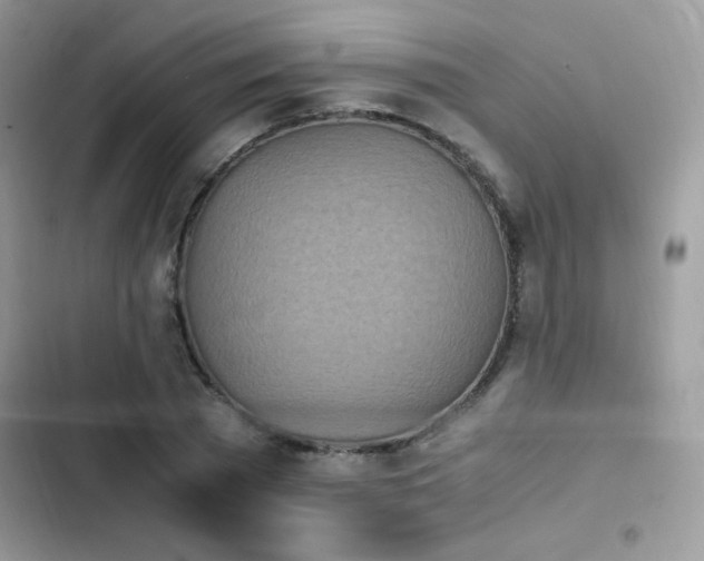 X0000103940785200809191416