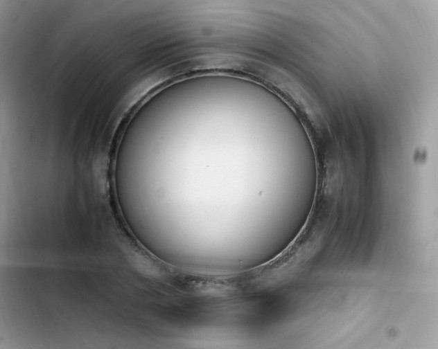 X0000103940786200809191416