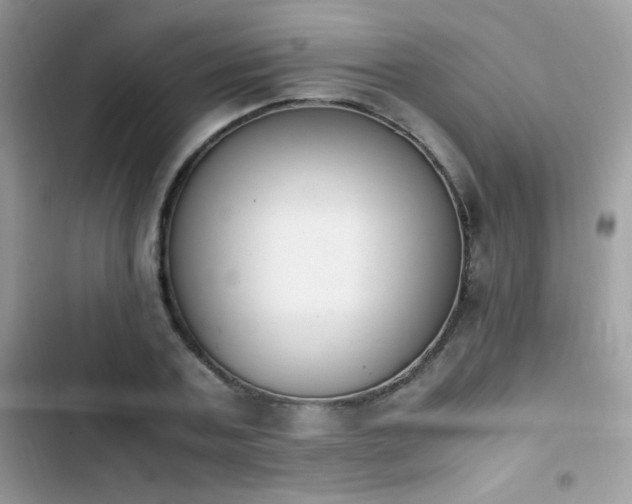 X0000103940787200809191416