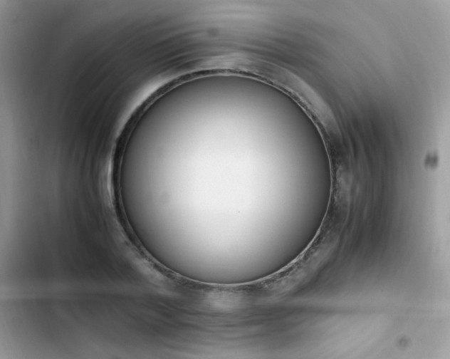 X0000103940788200809191416