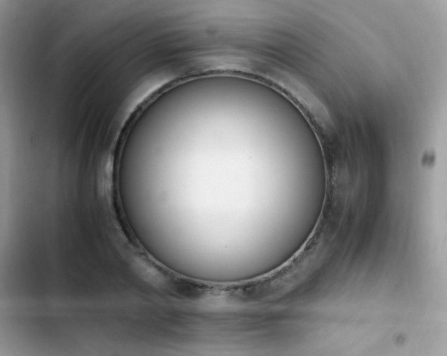 X0000103940790200809191416