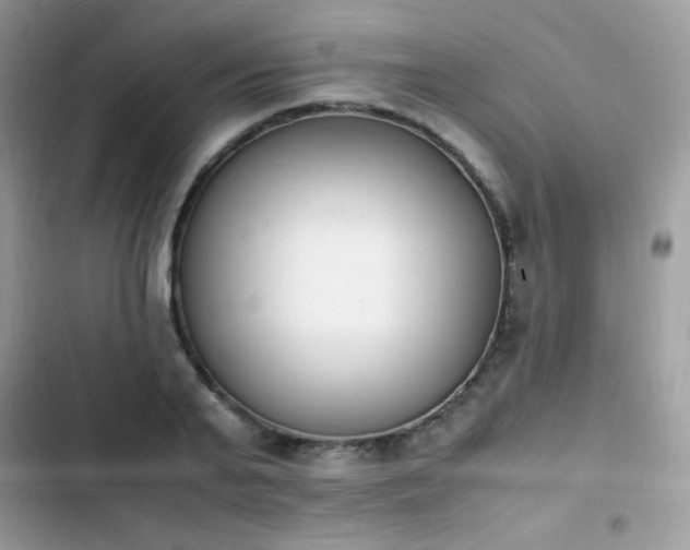 X0000103940791200809191416