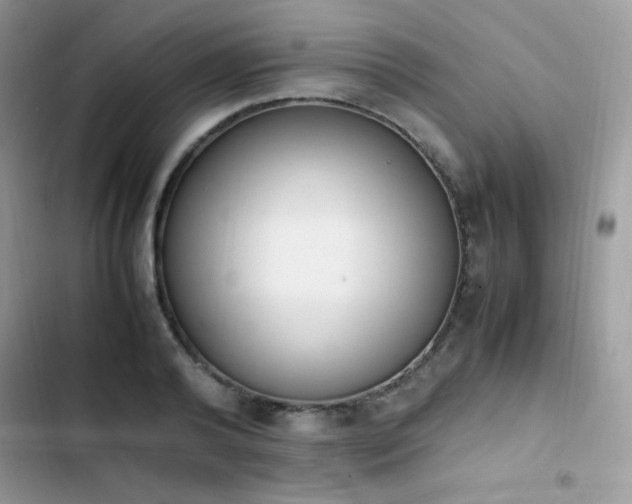 X0000103940792200809191416