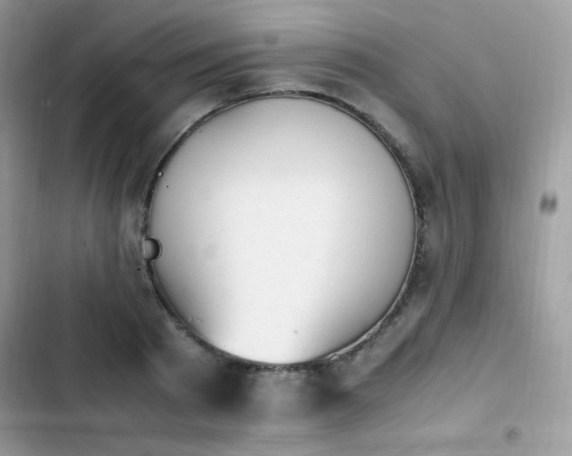 X0000103940793200809191416