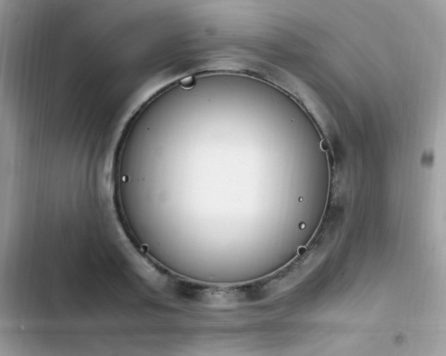 X0000103940795200809191416
