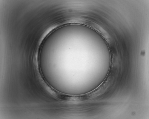 X0000103940796200809191416