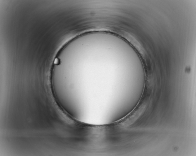 X0000103940797200809191416