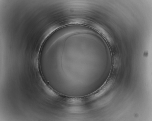 X0000103940802200809191416