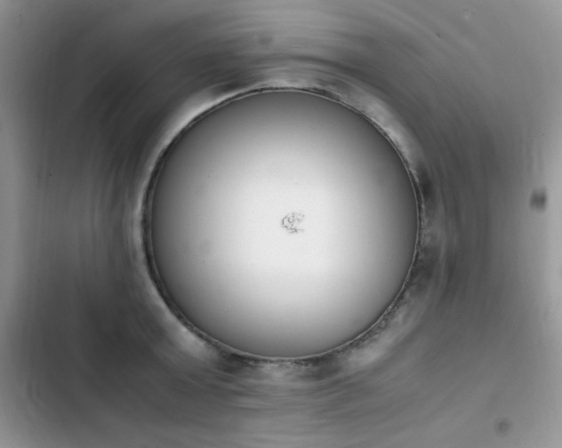 X0000103940803200809191415