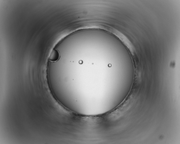 X0000103940805200809191415