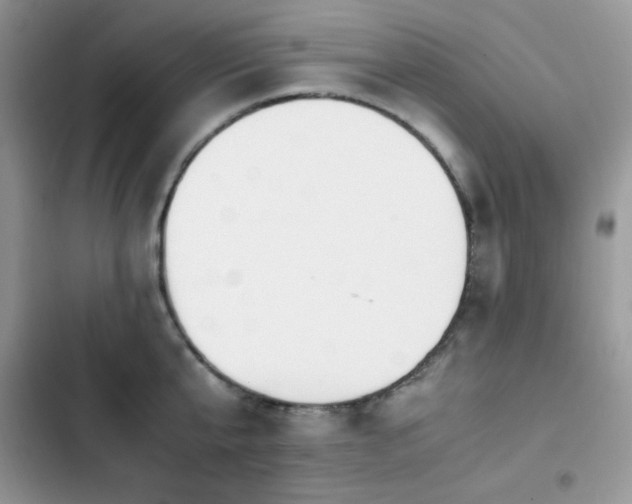 X0000103940807200809191415