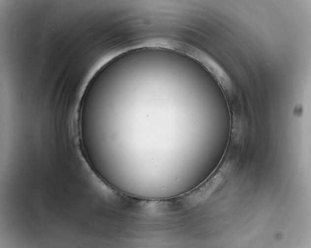 X0000103940808200809191415