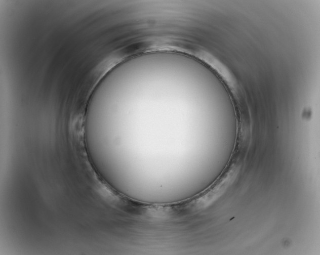 X0000103940809200809191415