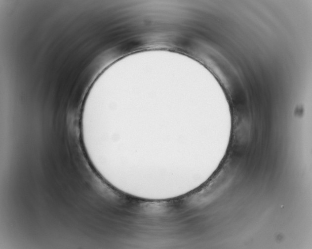 X0000103940810200809191415