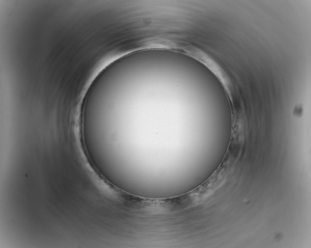 X0000103940811200809191415