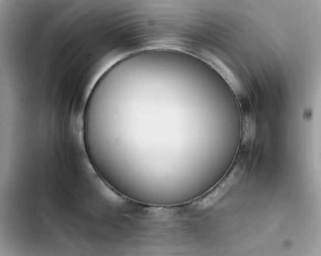 X0000103940812200809191415