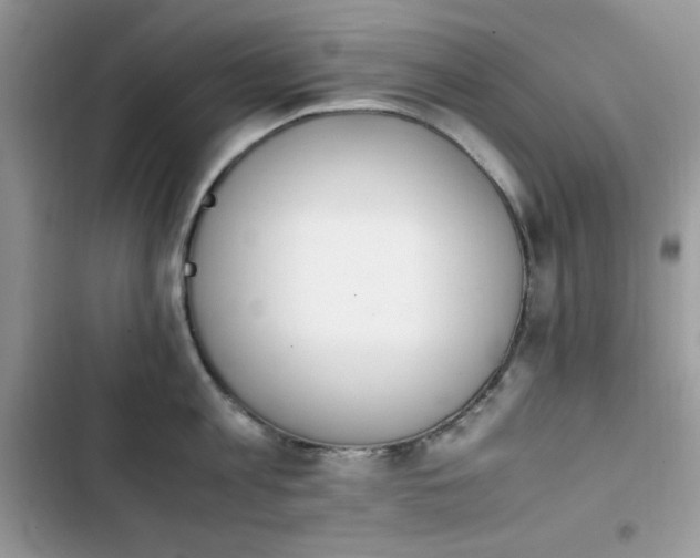 X0000103940813200809191415