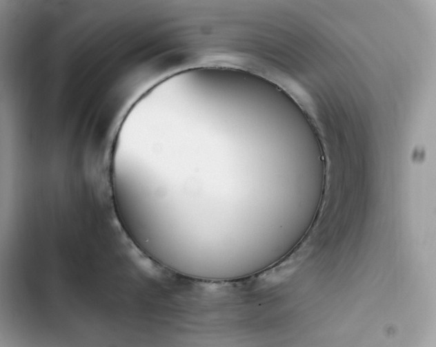 X0000103940816200809191415
