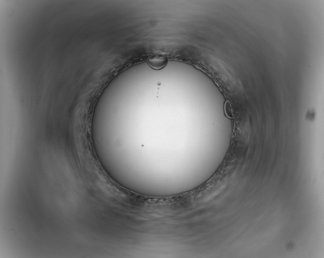 X0000103940817200809191415