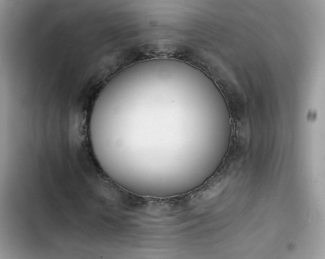 X0000103940818200809191415