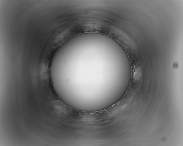 X0000103940819200809191415