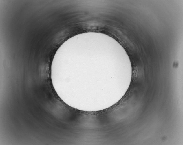 X0000103940820200809191415