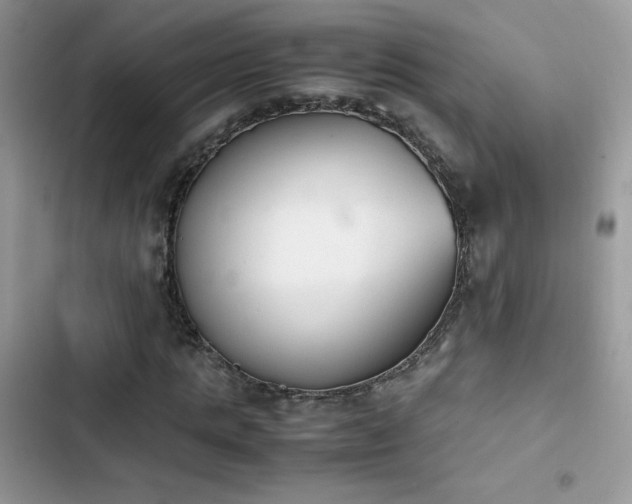 X0000103940821200809191415