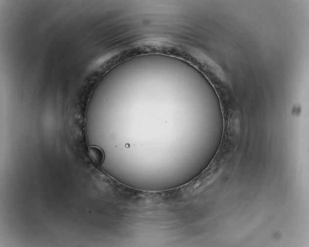 X0000103940822200809191415