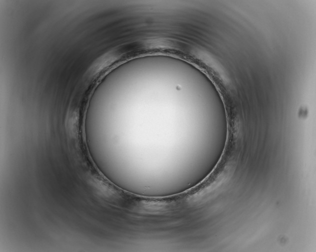 X0000103940825200809191415
