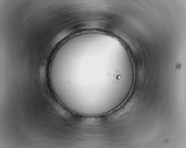 X0000103940826200809191415