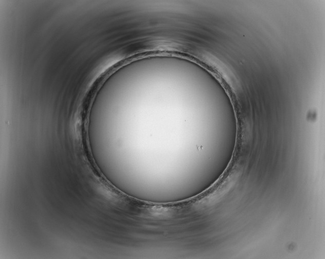 X0000103940827200809191415