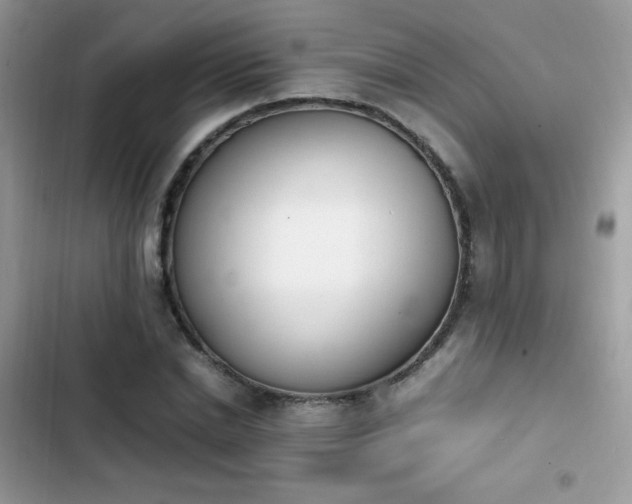 X0000103940830200809191415