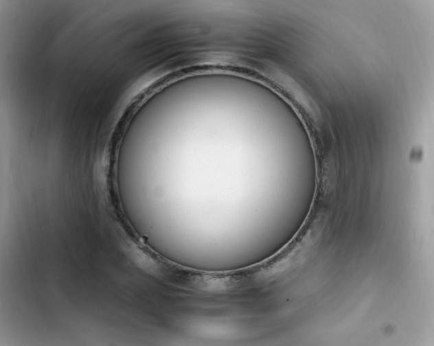 X0000103940831200809191415