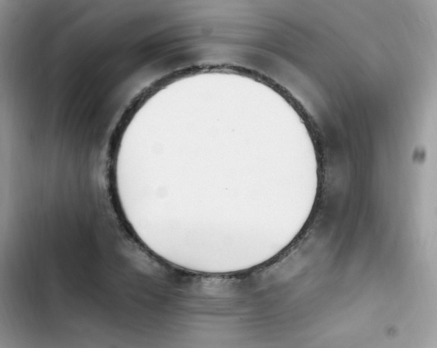 X0000103940832200809191415