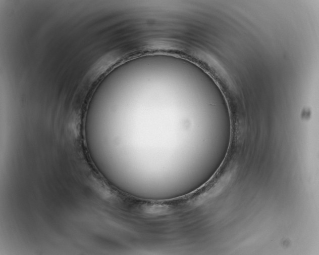 X0000103940833200809191415