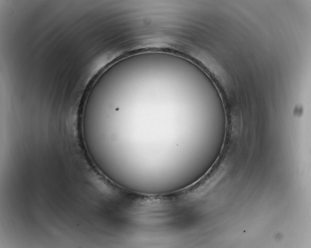 X0000103940834200809191415